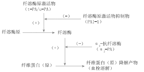 临床执业医师《生理学》考点：血液凝固、抗凝和纤溶